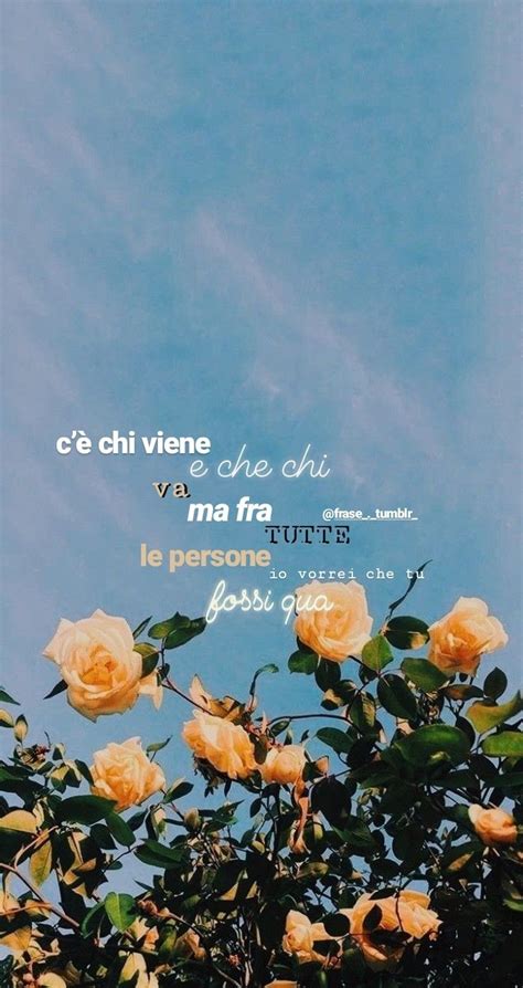 frasi tumblr|More.